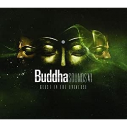 Buddha Sounds VI -Guest In the Universe